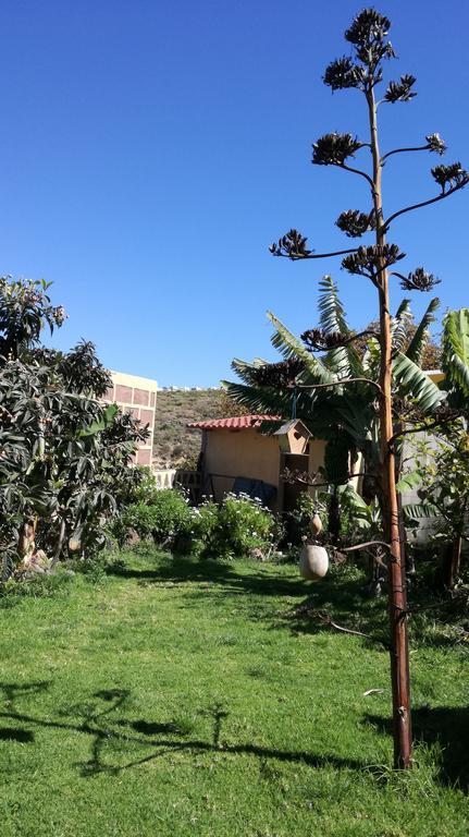 加那利别墅酒店 Santa Maria de Guia de Gran Canaria 外观 照片