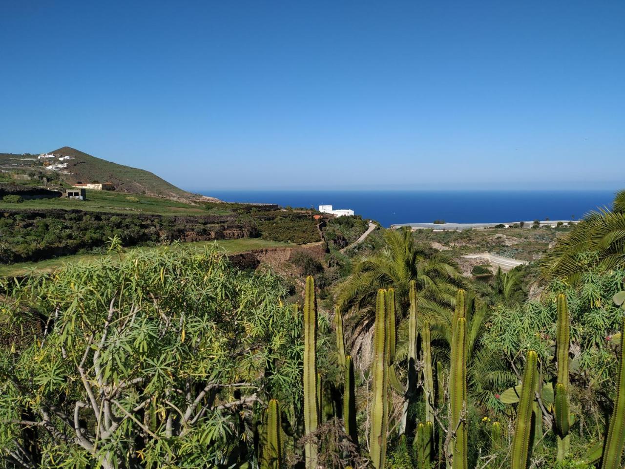 加那利别墅酒店 Santa Maria de Guia de Gran Canaria 外观 照片